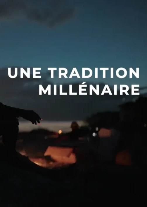 日本の鵜飼い、千年の伝統